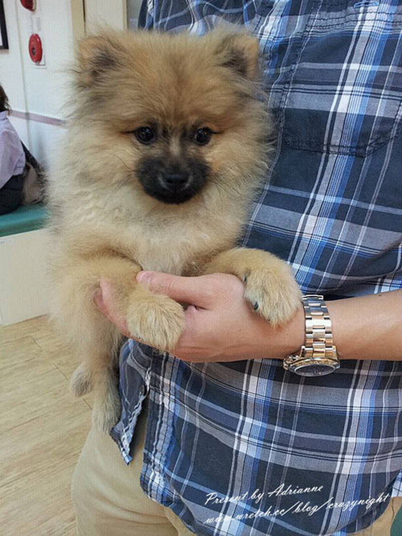 1367726968 1552753688