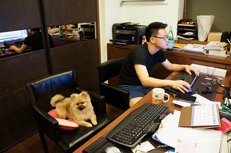 1367696503 3884033133