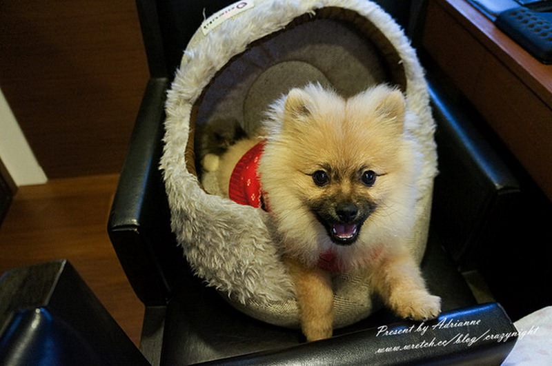 1367696953 4042908965