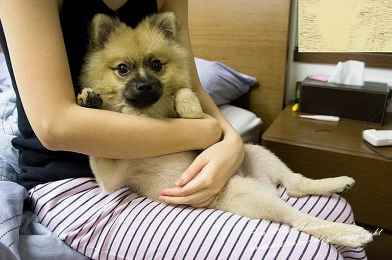 1367687959 3581107510