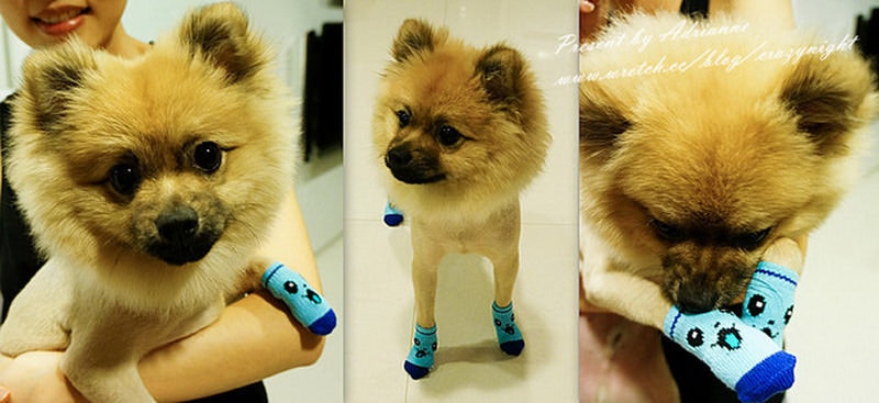 1367682238 4091589775