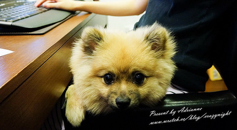 1367683211 305940727