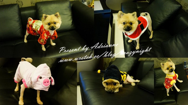 1367658118 872834522