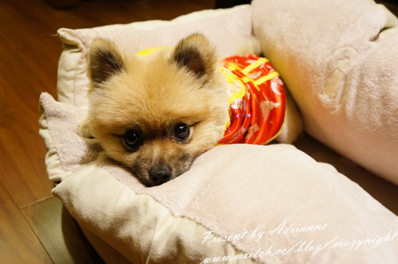 1367657813 434202981