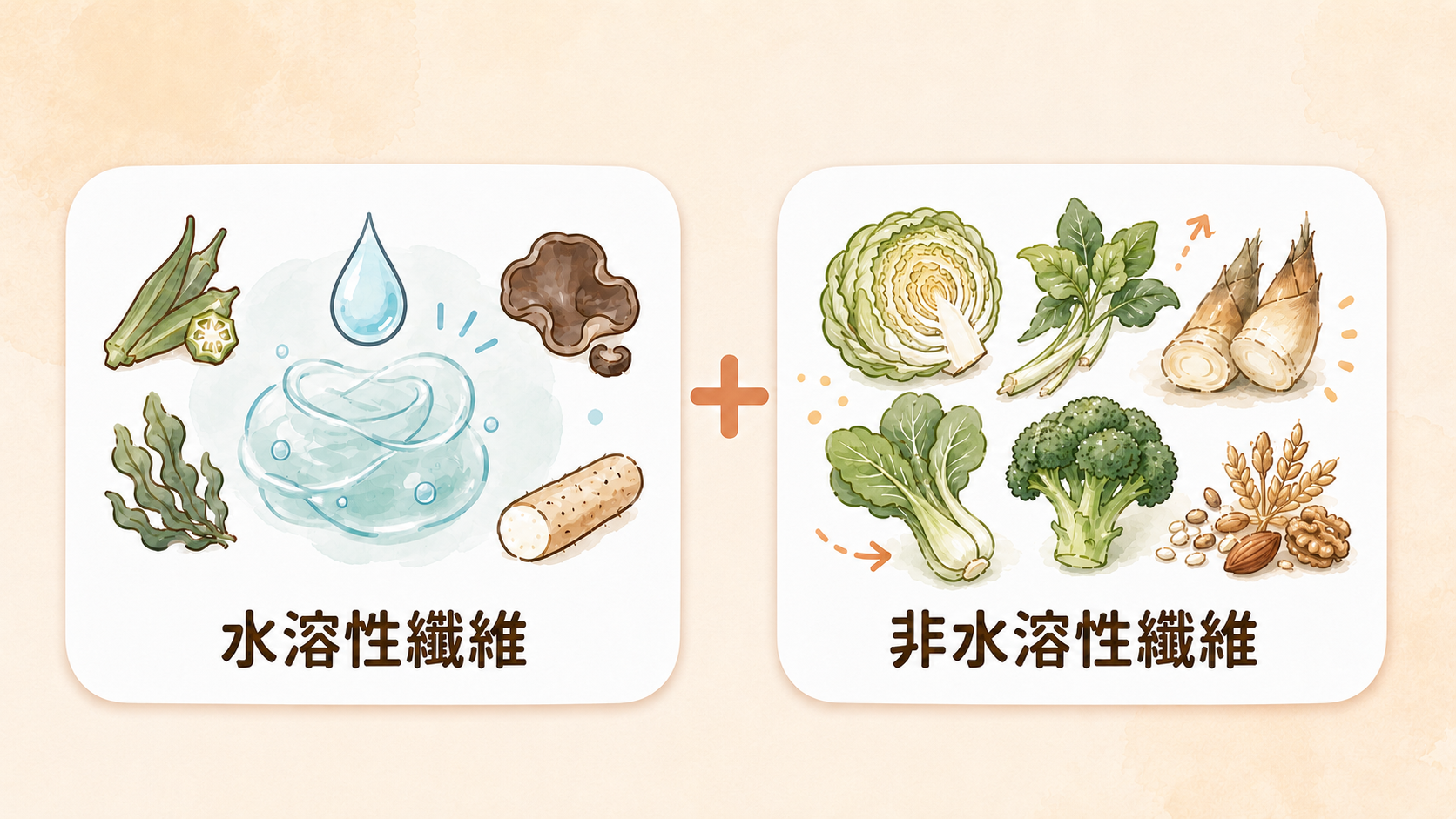 水溶性纖維、非水溶性纖維差在哪？便便卡卡、老是嘴饞可能是吃錯纖維種類