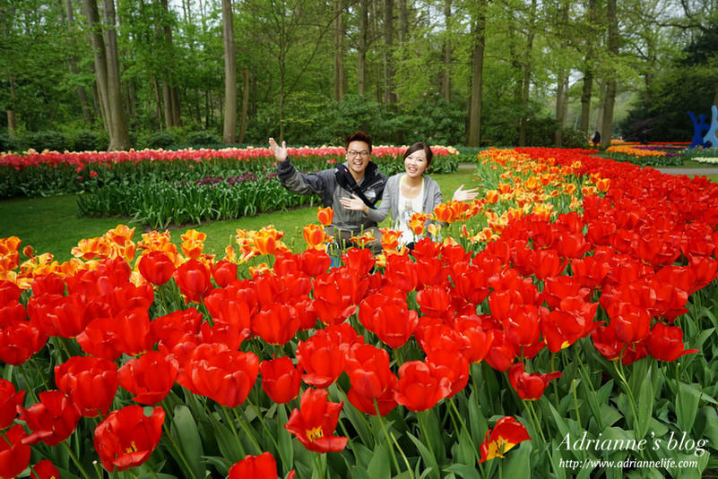 【環遊歐洲68天】Day15-1 庫肯霍夫Keukenhof。世界最大最知名的鬱金香花園(內有詳細交通資訊)