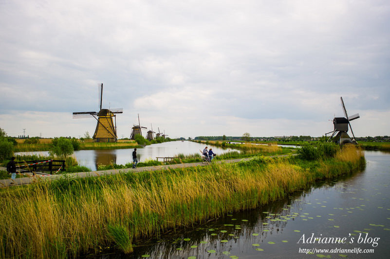 【環遊歐洲68天】Day17-2 鹿特丹Rotterdam擁有18座風車的小孩堤防(kinderdijk) & 立體方塊屋(Cubic  House)