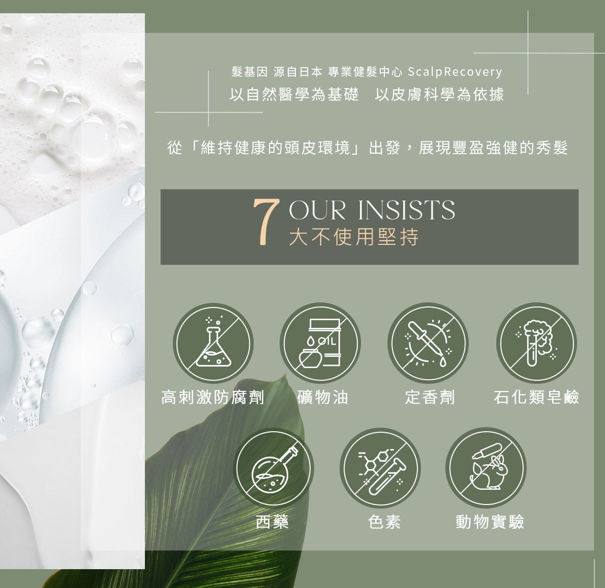 【團購最低價】髮基因Scalp Recovery 經典沙龍系列(橘瓶) 最低75折再送下單及滿額禮！ (至1/13 23:59止) 打造健康頭皮及豐盈秀髮