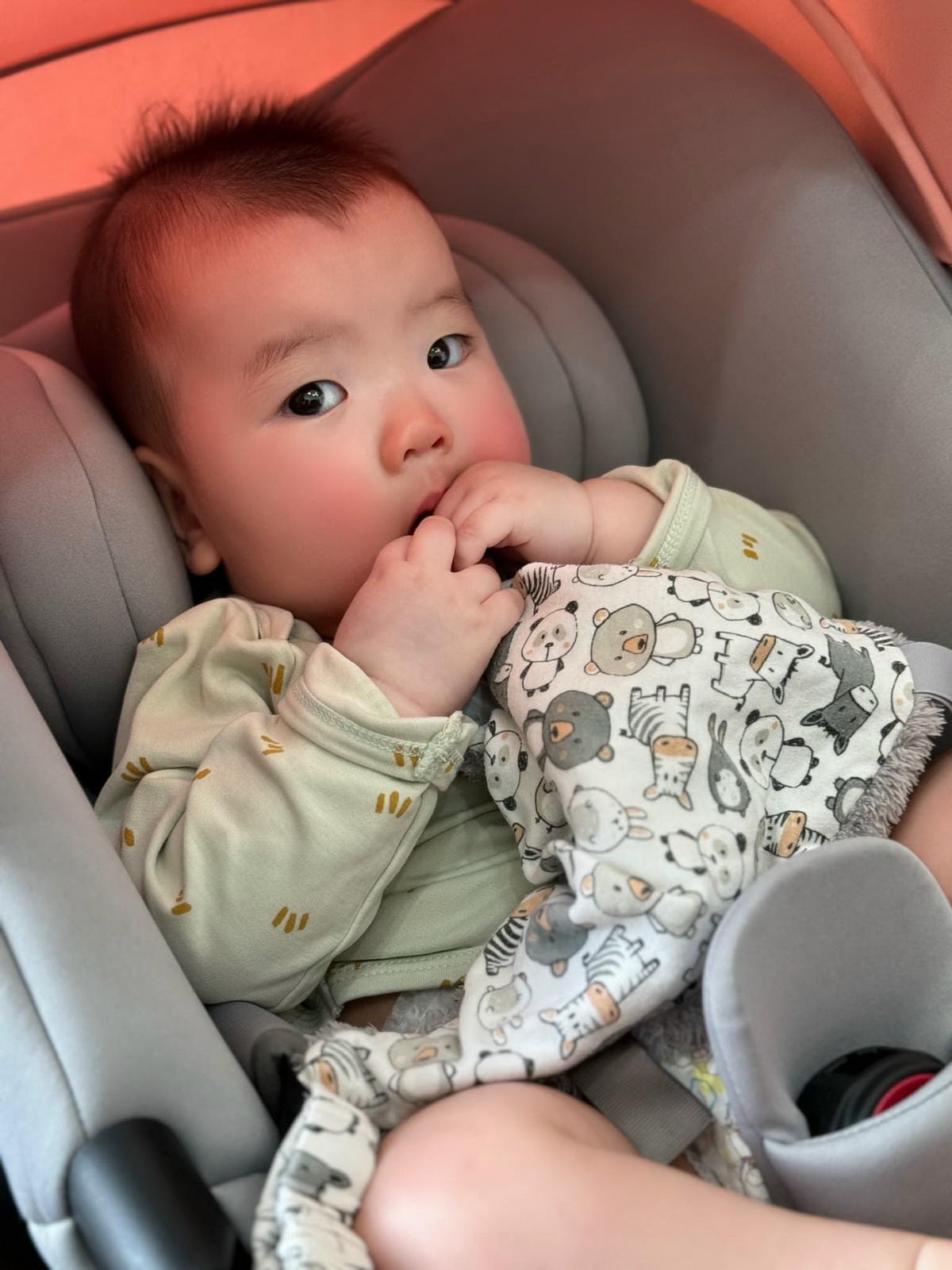 【團購】新加坡Oribel成長型餐椅/多功能遊戲桌/AA嬰幼兒包巾/咬咬兜/安撫玩具(下次開團 1/9)