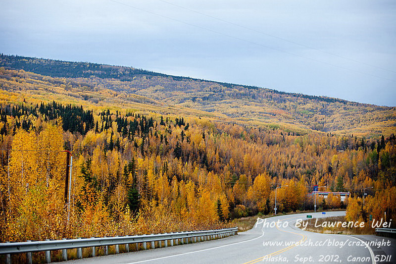 【阿拉斯加 ♥ 幸福北極光】Day5 Denali National Park國家公園 → Thai House→極光再現